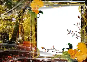 Effet photo de catégorie Automne № 1127
