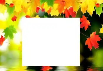 Effet photo de catégorie Automne № 116137