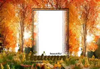 Effet photo de catégorie Automne № 125870