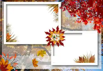 Effet photo de catégorie Automne № 12922