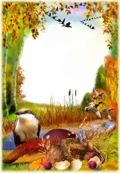 Effet photo de catégorie Automne № 129768