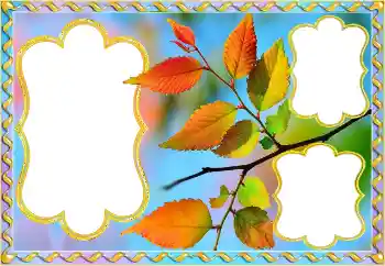 Effet photo de catégorie Automne № 145082