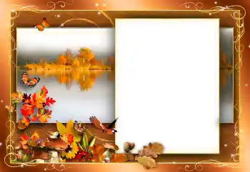 Effet photo de catégorie Automne № 155965