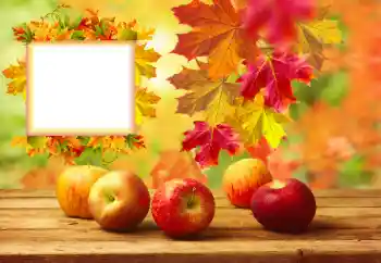 Effet photo de catégorie Automne № 157134