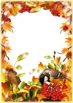 Effet photo de catégorie Automne № 158296