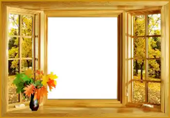 Effet photo de catégorie Automne № 159528