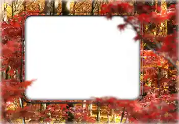 Effet photo de catégorie Automne № 160546 Effet photo de catégorie Automne № 160546