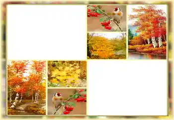 Effet photo de catégorie Automne № 160654 Effet photo de catégorie Automne № 160654
