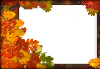 Effet photo de catégorie Automne № 160787 Effet photo de catégorie Automne № 160787