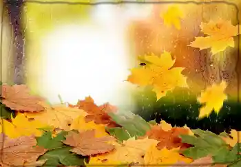 Effet photo de catégorie Automne № 174170