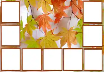 Effet photo de catégorie Automne № 195267