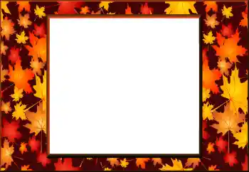 Effet photo de catégorie Automne № 198908