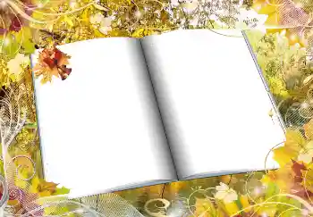 Effet photo de catégorie Automne № 2016 Effet photo de catégorie Automne № 2016