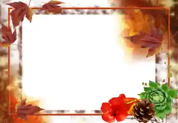 Effet photo de catégorie Automne № 31707