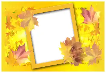 Effet photo de catégorie Automne № 58883
