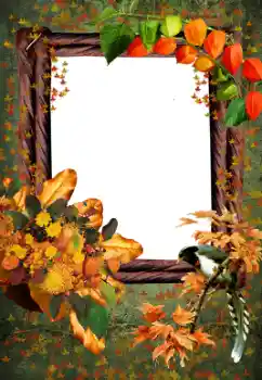 Effet photo de catégorie Automne № 59055