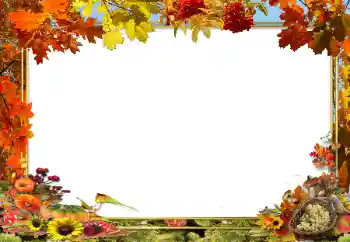 Effet photo de catégorie Automne № 62654 Effet photo de catégorie Automne № 62654