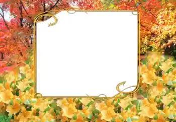 Effet photo de catégorie Automne № 9797