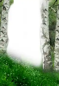 Effet photo de catégorie Printemps № 149305