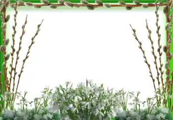 Effet photo de catégorie Printemps № 197647