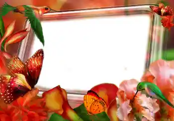Effet photo de catégorie Printemps № 4610