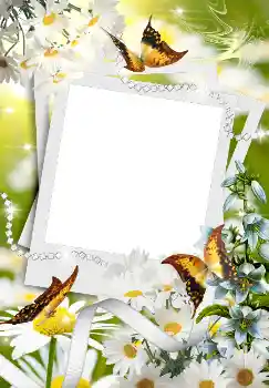 Effet photo de catégorie Printemps № 4611