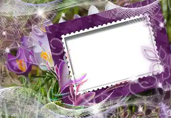 Effet photo de catégorie Printemps № 4618