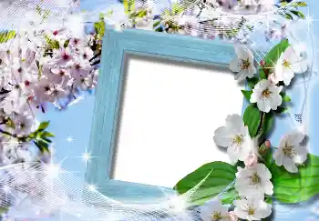 Effet photo de catégorie Printemps № 4619