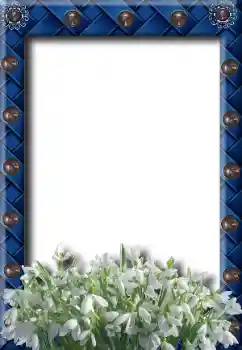 Effet photo de catégorie Printemps № 8734