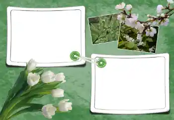 Effet photo de catégorie Printemps № 93095