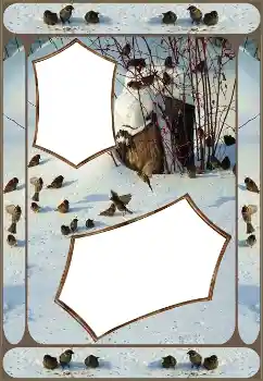 Effet photo de catégorie Hiver № 151645