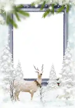 Effet photo de catégorie Hiver № 182164