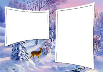 Effet photo de catégorie Hiver № 3363