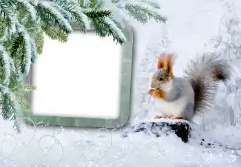 Effet photo de catégorie Hiver № 3375
