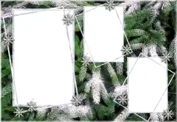 Effet photo de catégorie Hiver № 64393