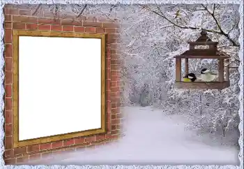 Effet photo de catégorie Hiver № 65557