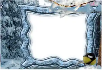 Effet photo de catégorie Hiver № 65559