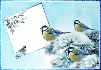Effet photo de catégorie Hiver № 87962
