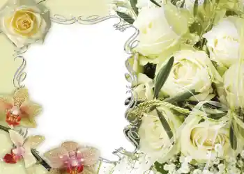Effet photo de catégorie Cadres de mariage № 135