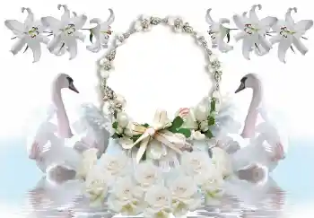 Effet photo de catégorie Cadres de mariage № 154586