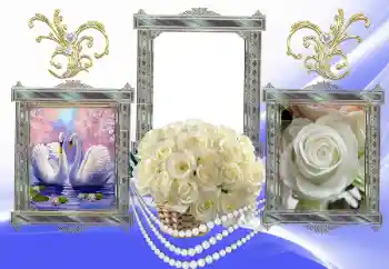 Effet photo de catégorie Cadres de mariage № 154587