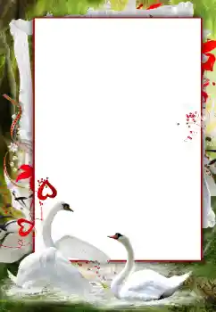 Effet photo de catégorie Cadres de mariage № 166120