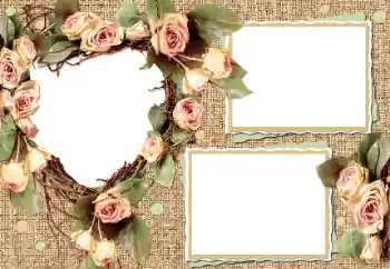 Effet photo de catégorie Cadres de mariage № 17007