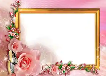 Effet photo de catégorie Cadres de mariage № 171 Effet photo de catégorie Cadres de mariage № 171
