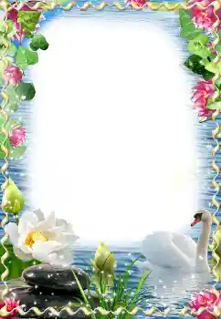 Effet photo de catégorie Cadres de mariage № 174059