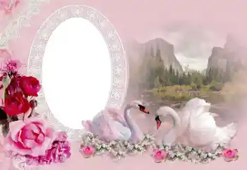 Effet photo de catégorie Cadres de mariage № 175415