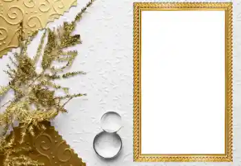 Effet photo de catégorie Cadres de mariage № 205549 Effet photo de catégorie Cadres de mariage № 205549