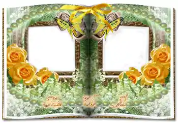 Effet photo de catégorie Cadres de mariage № 24278. Inscription sur le cadre: Ты И Я