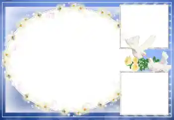 Effet photo de catégorie Cadres de mariage № 26570