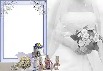 Effet photo de catégorie Cadres de mariage № 31734